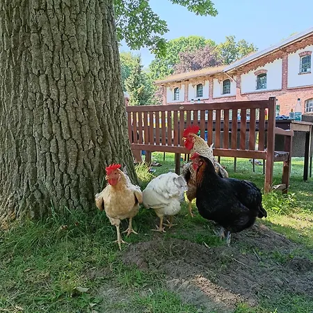 Ferien Am Schloss - 2 