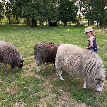 Ferien Am Schloss - 2 